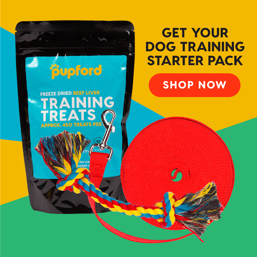 Pupford - Thumbnail