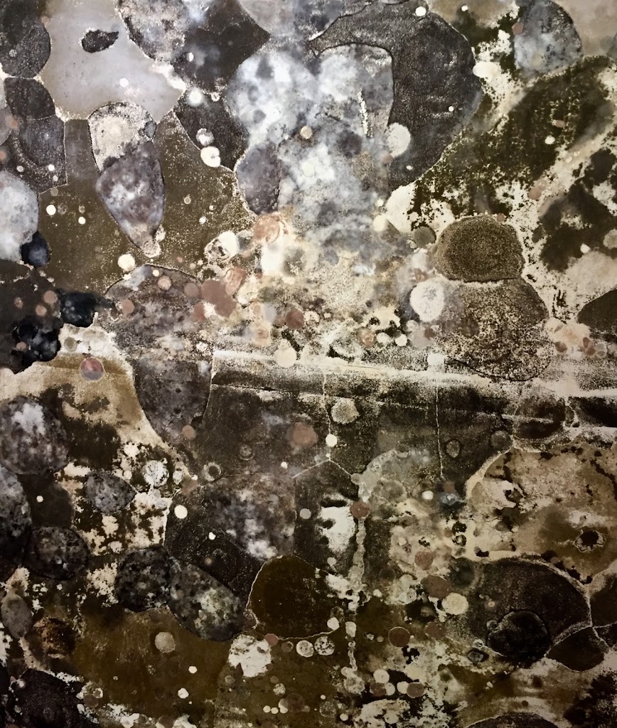 Superior Mold Solutions Inc photo