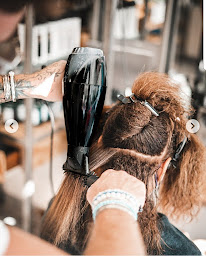 Photo n°10 de New look coiffure à Nice (Salon de coiffure)