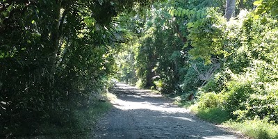 Photos of Baluran National Park