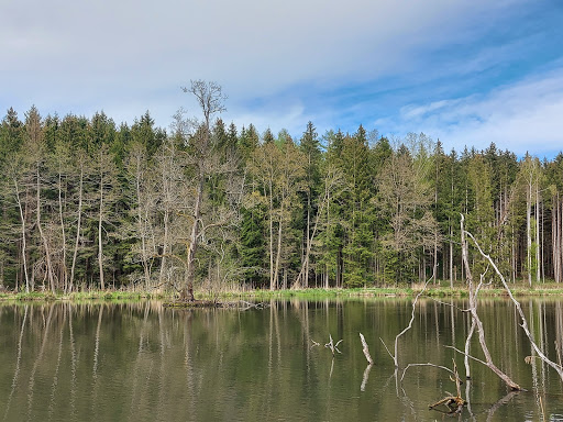 Ochsenweiher - Visual
