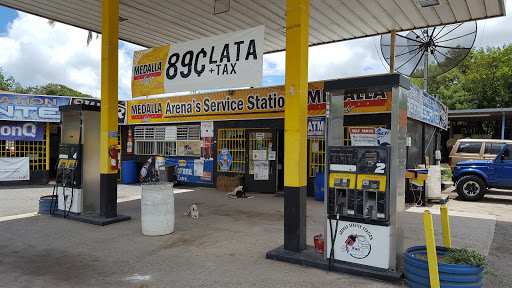 Arenas Service Station