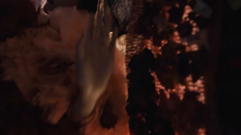 エースホテル 京都