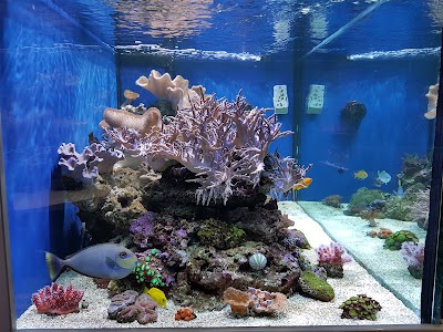 Photos of Aquamarine Trading Company