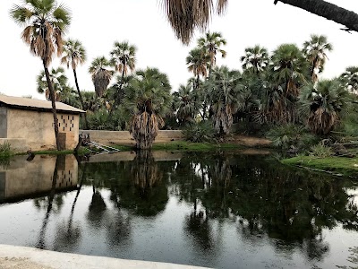 Photos of Eliye Springs Resort - Lake Turkana