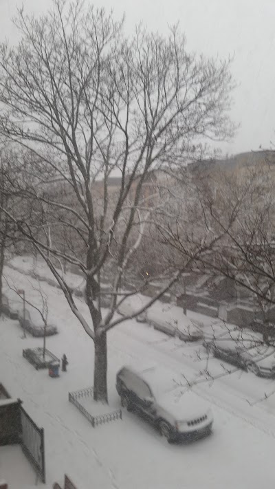 Photos of Lefferts Manor Bed & Breakfast