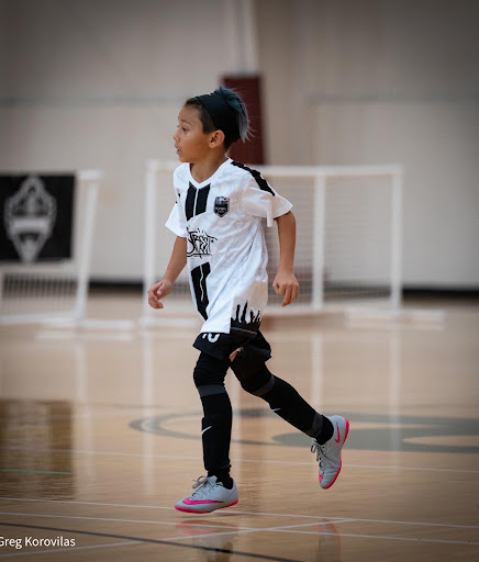 Schaumburg Park District Sport Center - Thumbnail