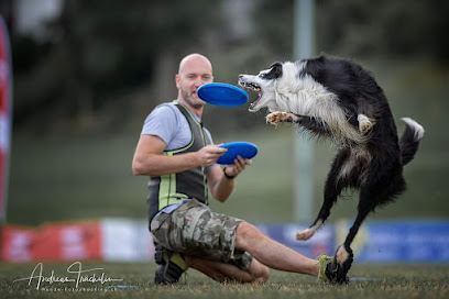 C.C.C. Centro Cinofilo Cantù A.S.D.