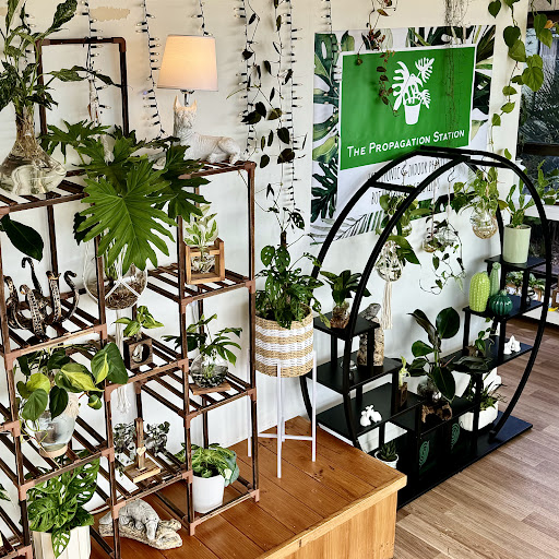 The Propagation Station - Thumbnail
