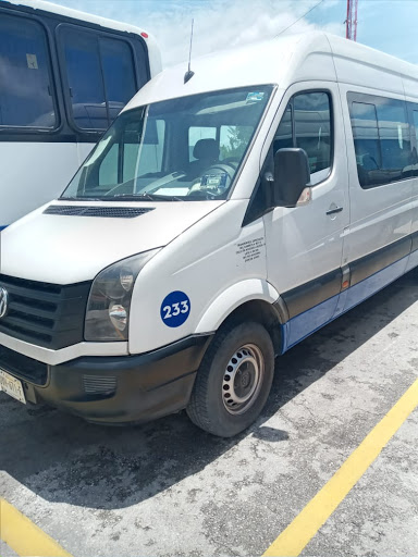 Turismo y excurciones palma