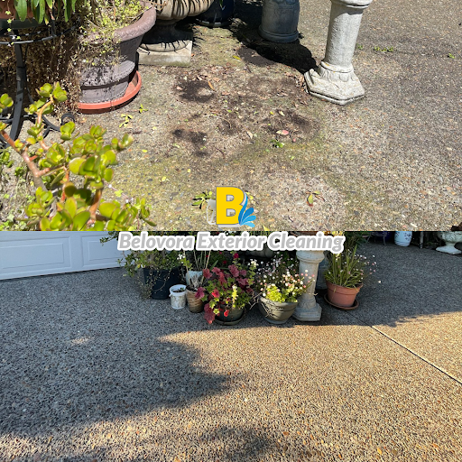 Belovora Exterior Cleaning Services - Thumbnail