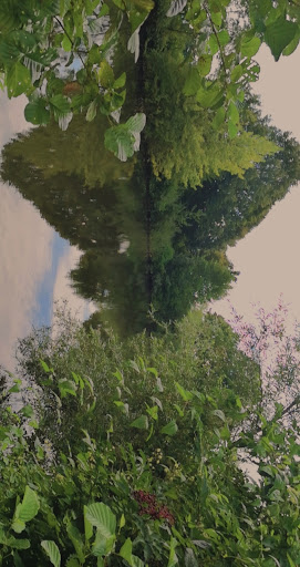 Kleiner Weiher Riedstadt Gallery - Germany