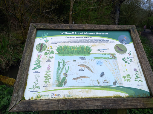 WITHNELL NATURE TRAIL - Thumbnail