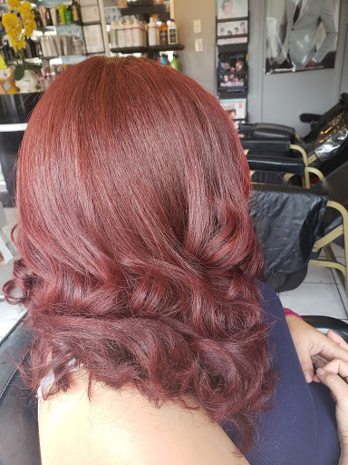 Palacio Hair Studio Gallery - United States
