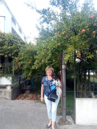 Photos of Apoteka Popović