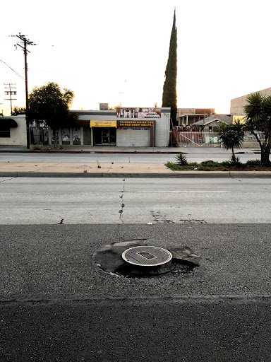 Rosemead / Fern Logo