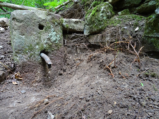 Moosichbrünnlein - Visual