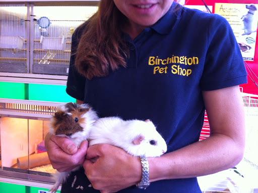 Birchington Pet Shop - Thumbnail