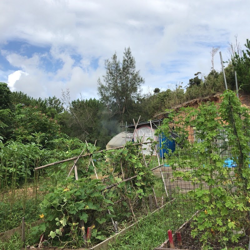 一般社団法人Sango