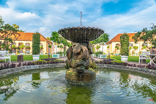 Orangerie Belvedere - Visual