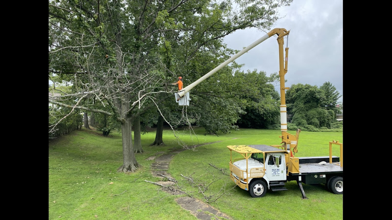 Valley Tree & Landscape Service Inc.