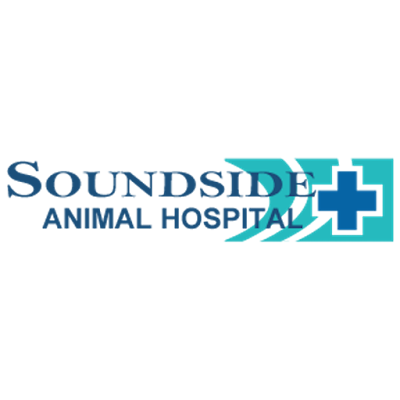 Photos of Soundside Animal Hospital