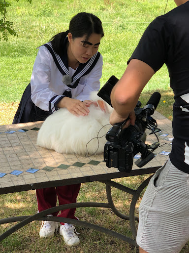 angolaine.com - Thumbnail