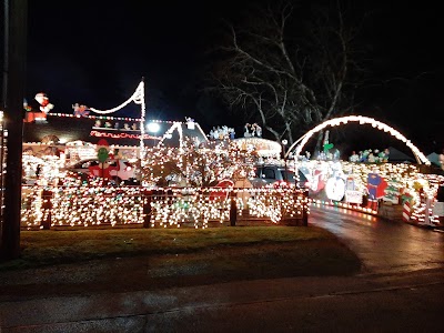 Winter Lights Show