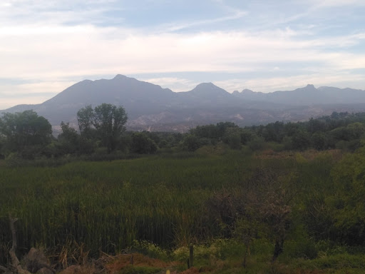 Bondhi - Visual