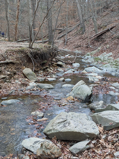 Donaldson Run Park Gallery - United States