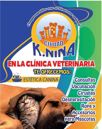 Ciudad Knina - Thumbnail