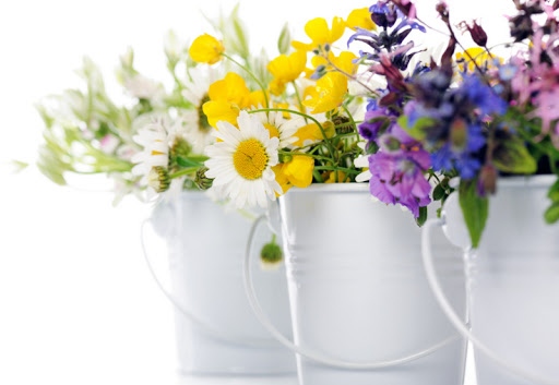 L'ASSO DEI FIORI - Fioraio Logo