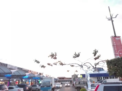 shopping-mall