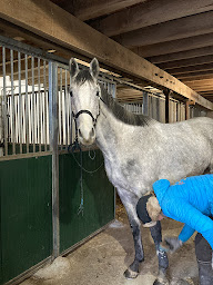 Photo n°5 de Centre Equestre Le Fleuriel EARL à Épineuil-le-Fleuriel (Centre équestre)