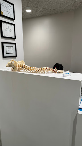 SPINE TECH - Visual