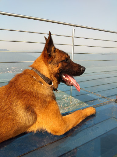 Agencia Integral Veterinaria KURIG