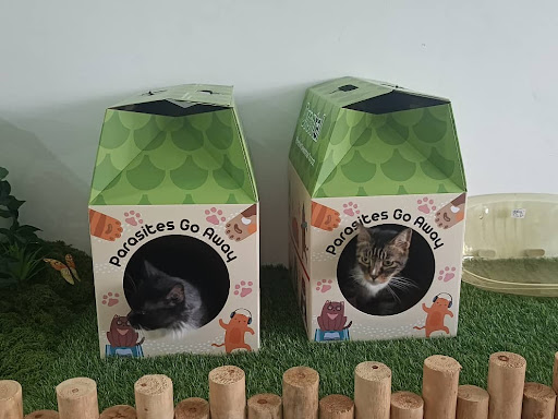 Furry Paradise Cat Hotel