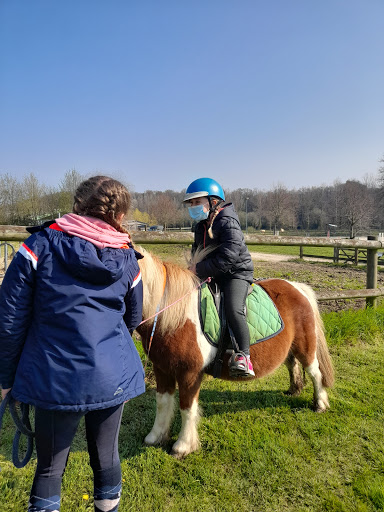 CENTRE EQUESTRE D AMBRIERES LES VALLEES