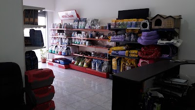 Photos of Healthy Pet Veterinary Clinic