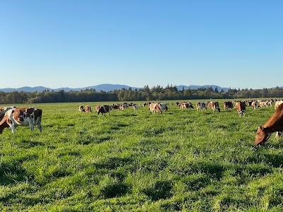 Corvallis Municipal Airport Industrial Park