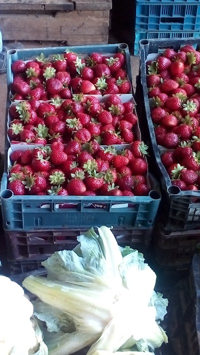Photos of The wholesale market for vegetables and fruits Alahtatabh