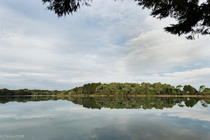 Photo n°10 de Les Rivages du Coëdo - Chambres d’hôtes Morbihan à Locoal-Mendon (Chambre d'hôtes)