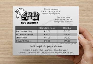 Essie's Equine Rug Laundry - Thumbnail
