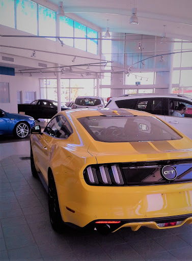 McInerney Ford - Thumbnail