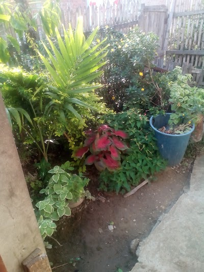 Photos of San Pedro