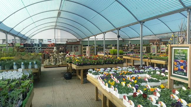 Comments and reviews of Whitehall Garden Centre