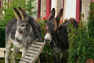 Photo n°45 de Alex Factory à Wierre-Effroy (Hôtel bien-être)