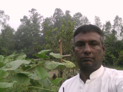 Photos of Woodland