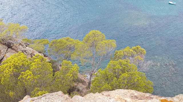 Cala Futadera