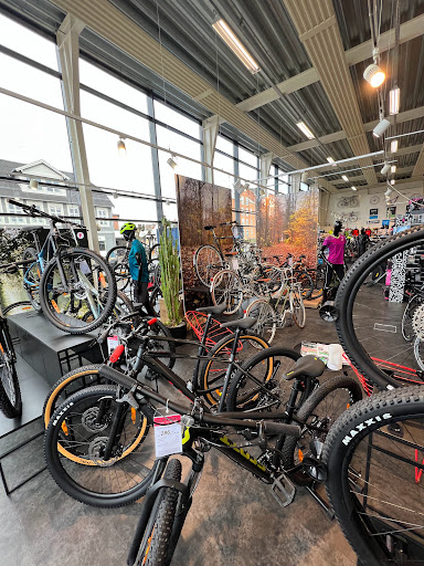 Free Bike Shop Sønderborg - Thumbnail